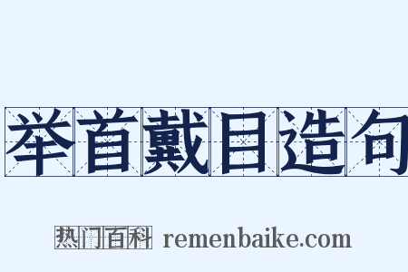 举首戴目造句是什么意思的图片
